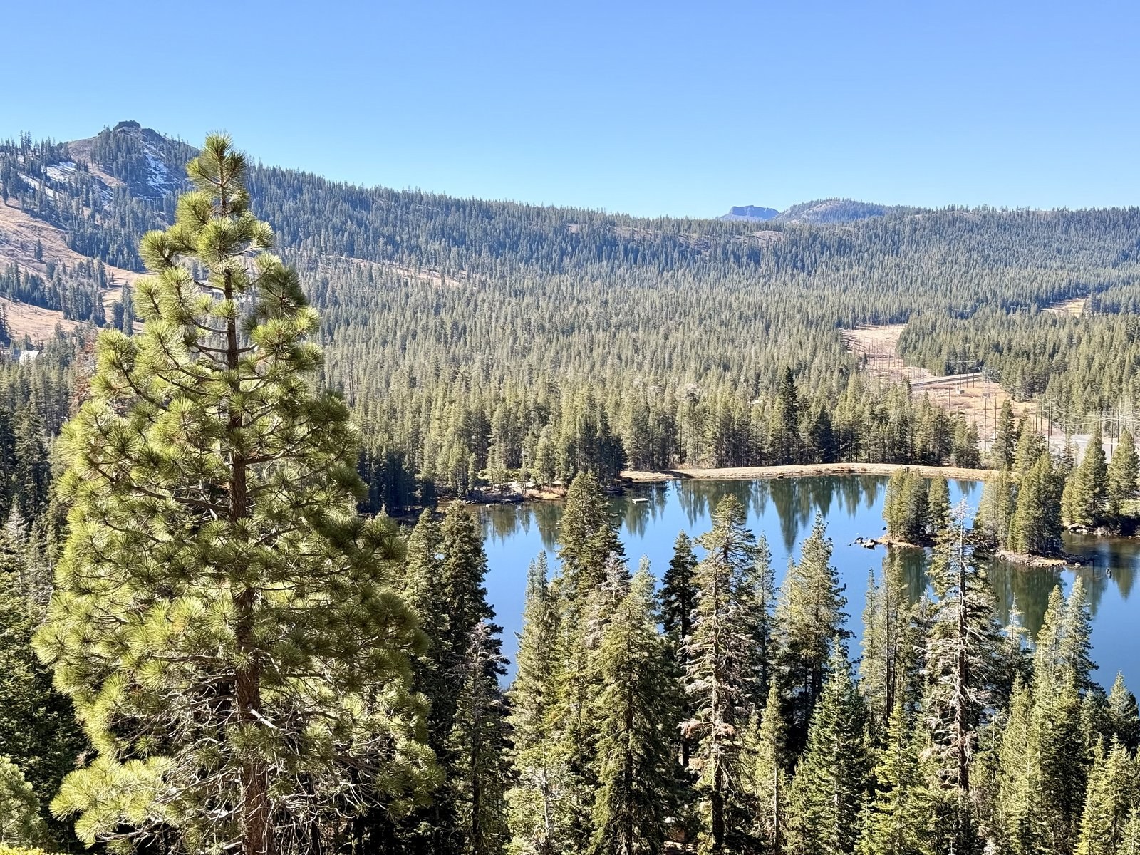 A single tall pine standing over a still Sierra lake in early November, the surrounding ridges dusted with the first snow of the season. Tahoe, California.