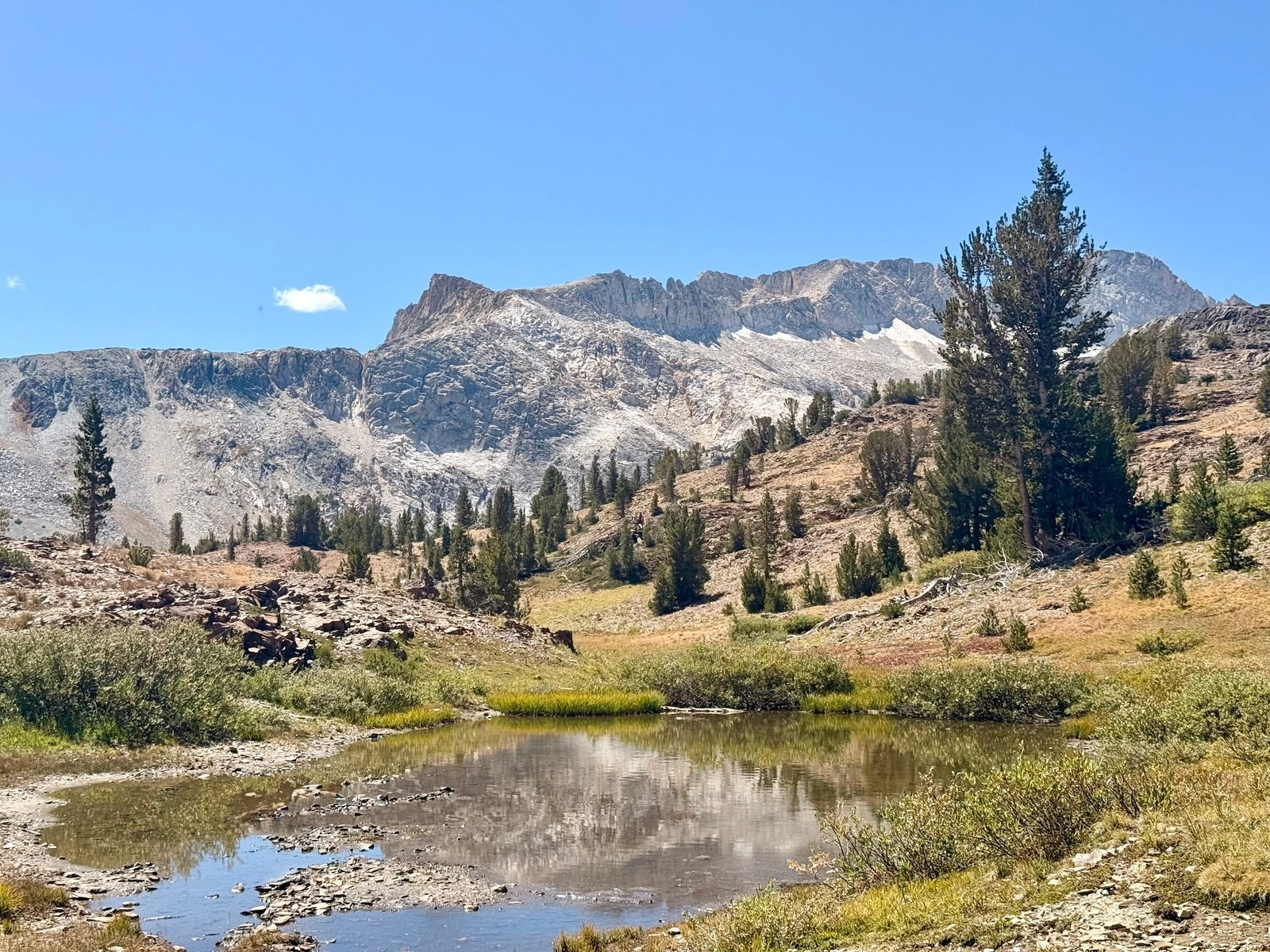 A still alpine pond reflecting granite peaks and scattered pines under a clear Sierra sky, Twenty Lakes Basin, California.