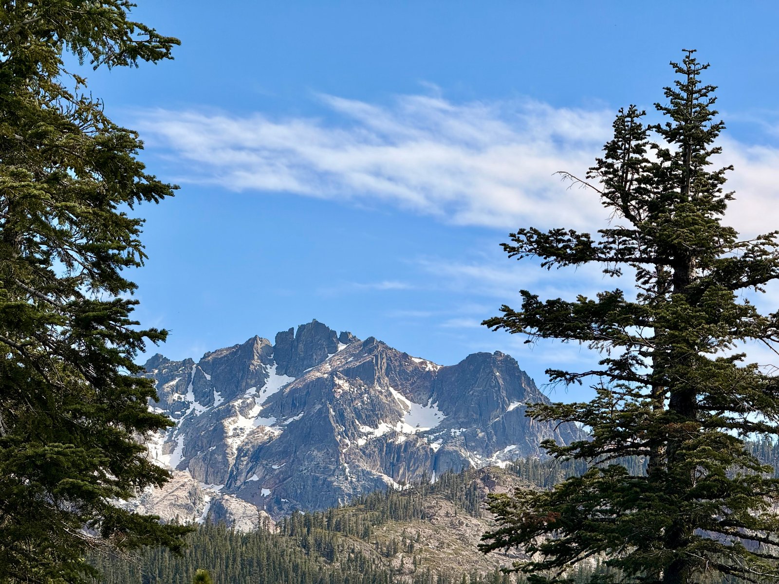 The Sierra Buttes framed between two pines.