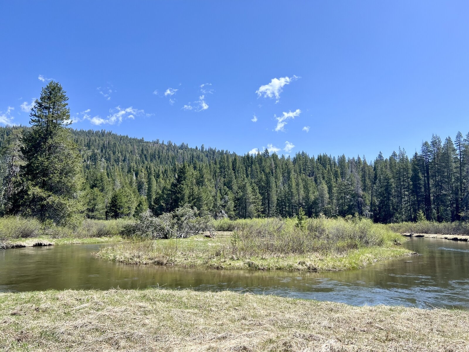 A clear Sierra meadow with a winding stream and forested ridges in the distance.