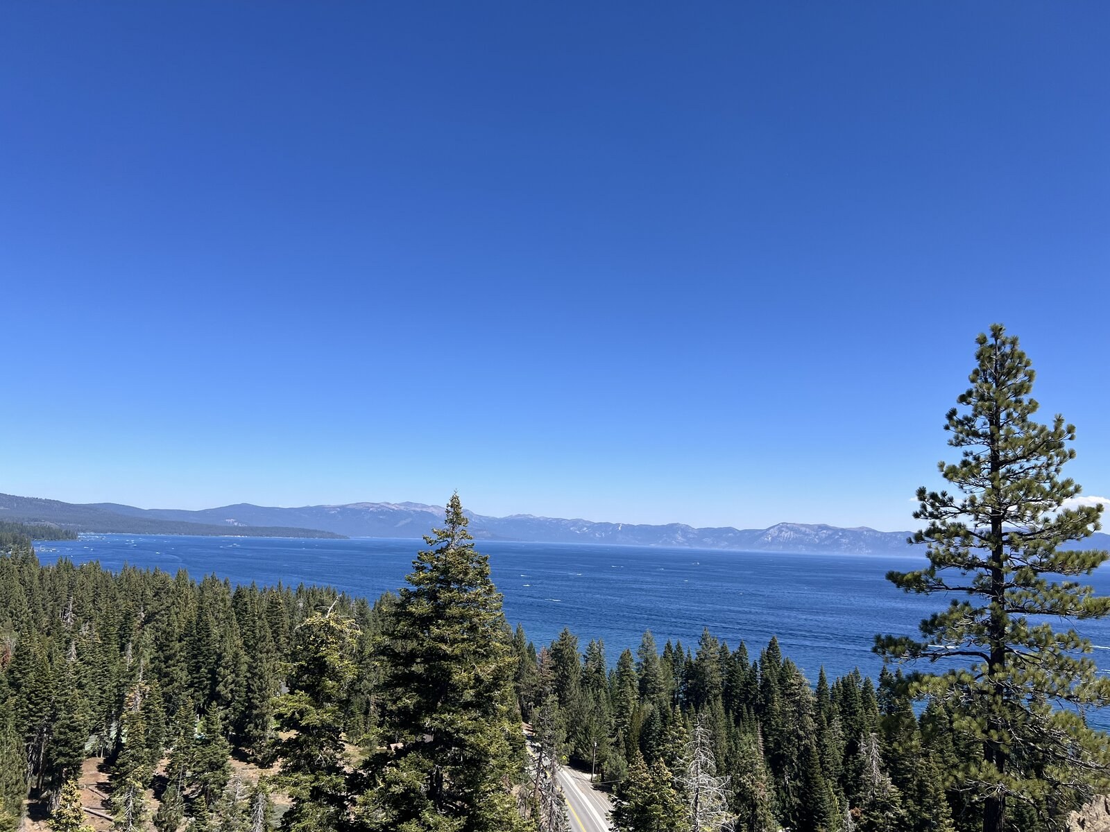 Lake Tahoe in summer, framed by pines on both sides of an open overlook.